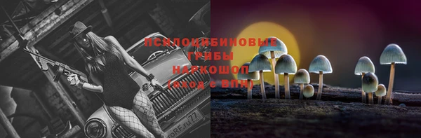 jwh Горно-Алтайск
